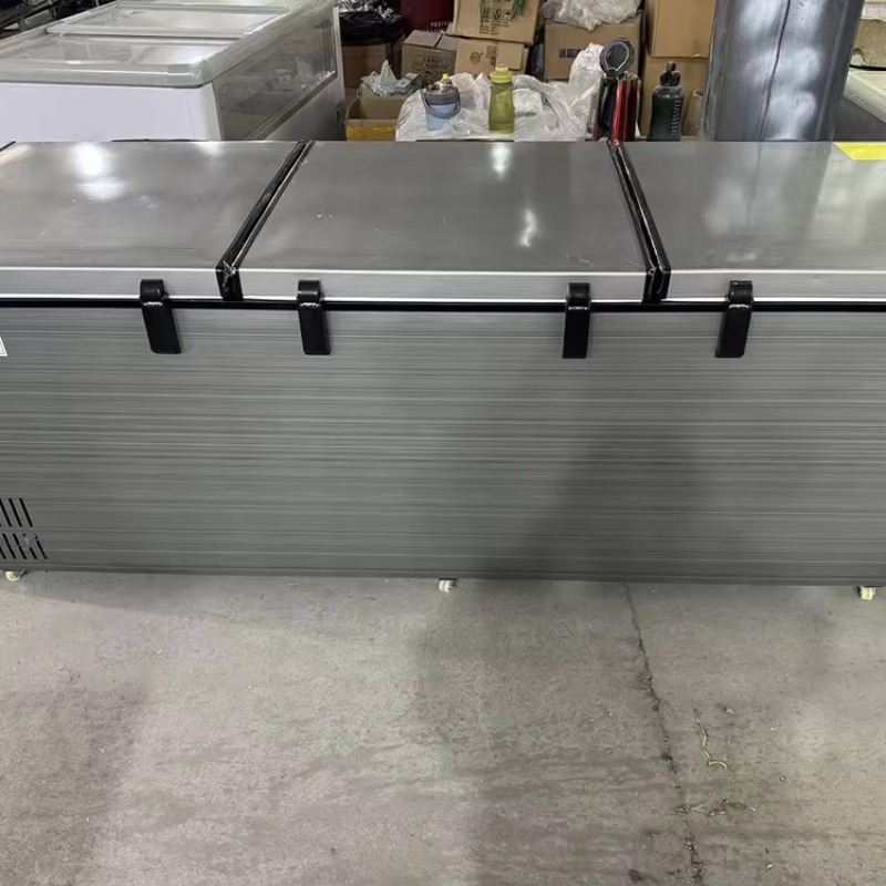 Gewerblicher Horizontal-Gefrie – Commercial Chest Freezer Bewertung und Preis